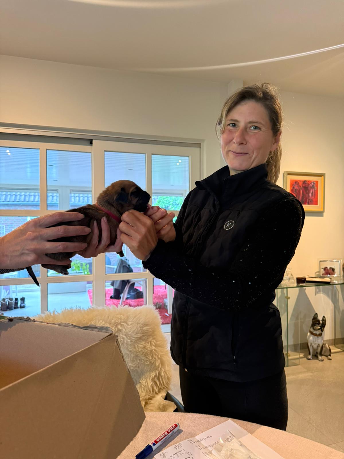 Rhodesian Ridgeback DNA Test