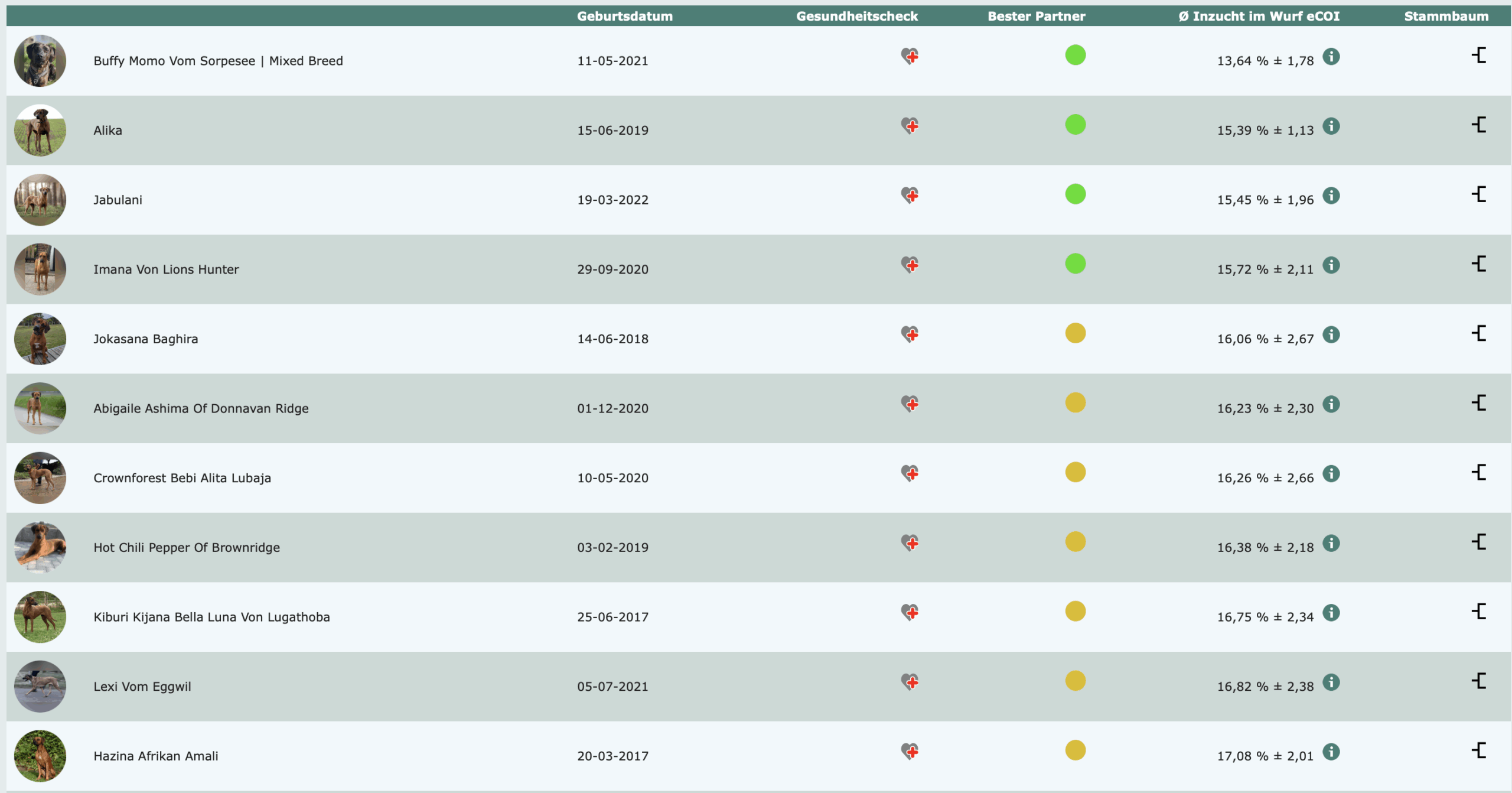 Bildschirmfoto 2025-10-31 um 19.37.57