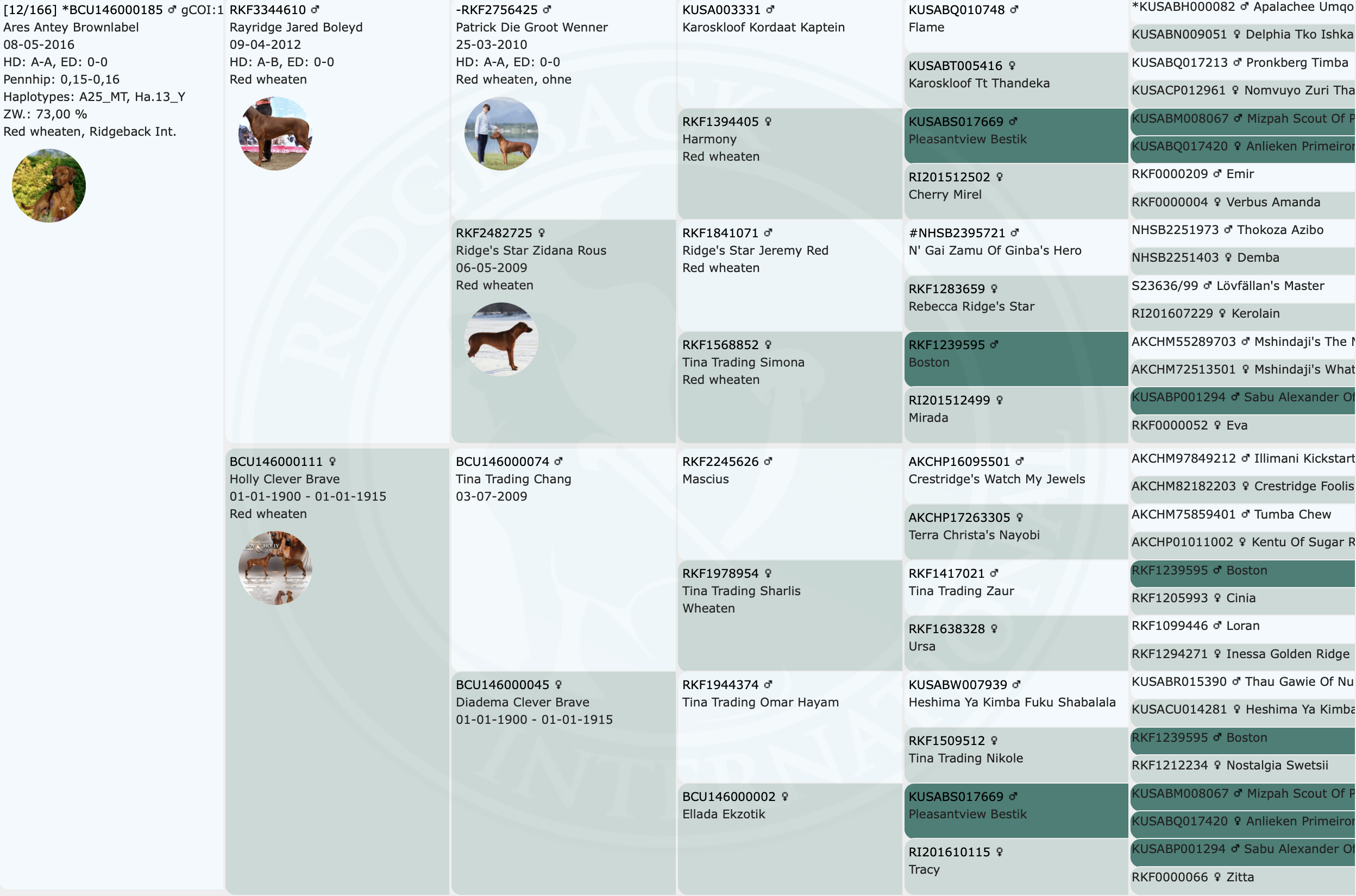 Bildschirmfoto 2025-10-31 um 19.38.12