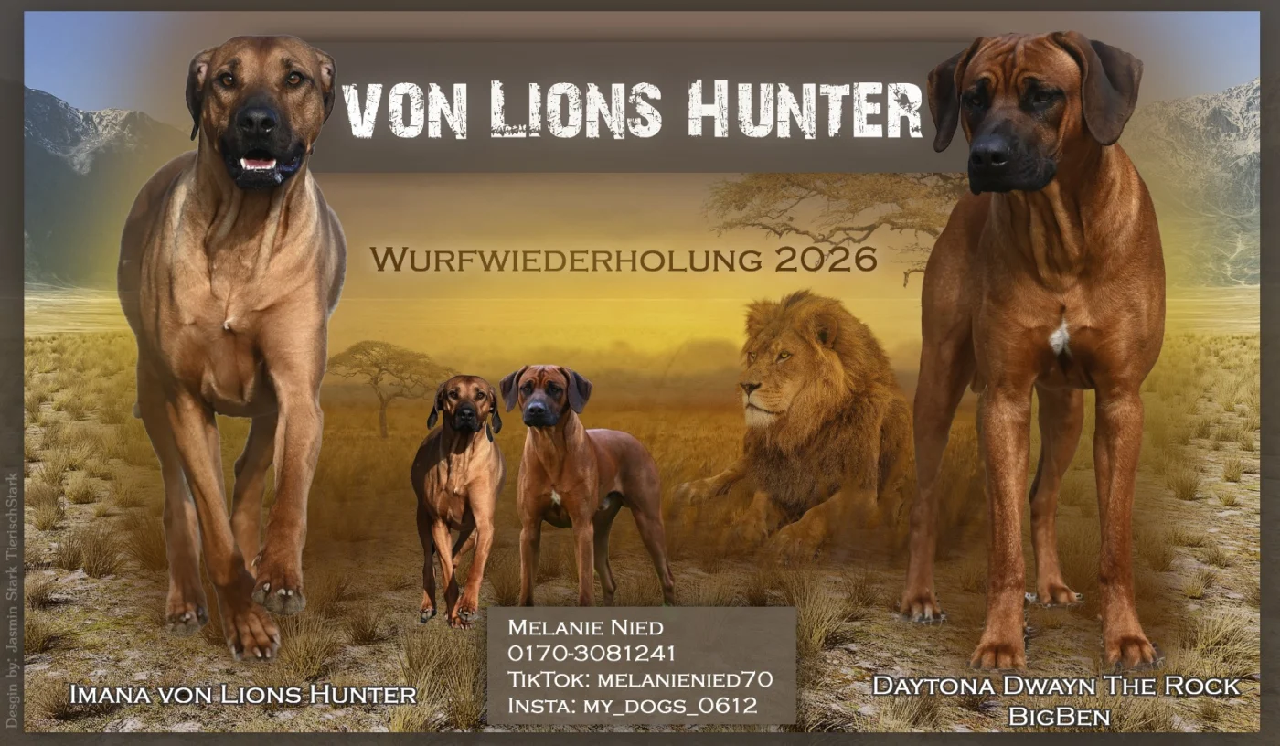 Wurf im Kennel von Lions Hunter